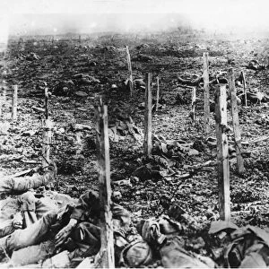 Verdun 1916, 1916