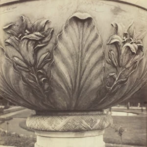 Versailles, Vase, 1906/07. Creator: Eugene Atget