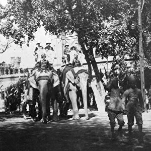 Viceregal staff and his daughter taking part in the elephant procession, Delhi, India, 1900s. Artist: H Hands & Son