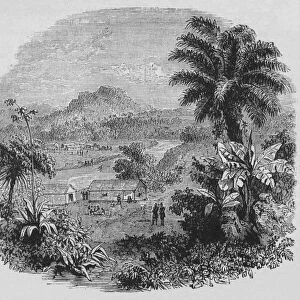 View in Cayenne, c1880