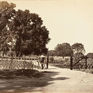 View of Garden, 1850s. Creator: Unknown