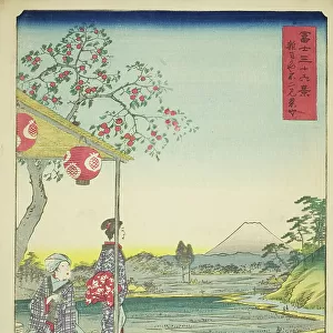 View of Mount Fuji from a Teahouse at Zoshigaya (Zoshigaya Fujimi chaya), from the... 1858. Creator: Ando Hiroshige