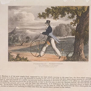 View of a Pedestrian Hobbyhorse, 1819