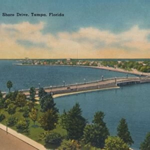 View along Shore Drive, Tampa, Florida. c1940s