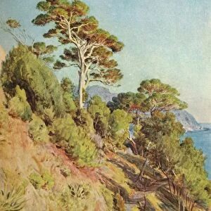 In the Villa Piuma, Sestri Levante, c1910, (1912). Artist: Walter Frederick Roofe Tyndale