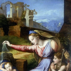 The Virgin of the Veil, early 16th century. Artist: Raphael