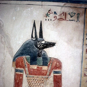 Wallpainting of Anubis (jackal-headed god), Valley of the Queens, Luxor, Egypt, c12th century BC