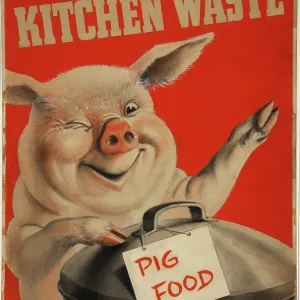 We Want Your Kitchen Waste, World War II poster, c1939-c1945. Creator: John Gilroy.<br> We Want Your Kitchen Waste, World War II poster, c1939-c1945 We Want Your Kitchen Waste, World War II poster, c1939-c1945. Creator: John Gilroy.<br> We Want Your Kitchen Waste, World War II poster, c1939-c1945