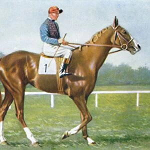 Waterbird, Jockey: E. Smith, 1939