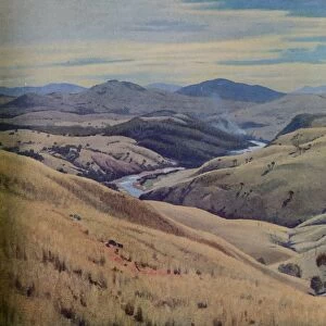 Weetangra, Canberra, 1937. Artist: Elioth Lauritz Leganyer Gruner
