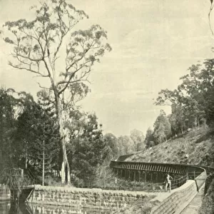 The Weir and Fluming, Kirks Reservoir, 1901. Creator: Unknown
