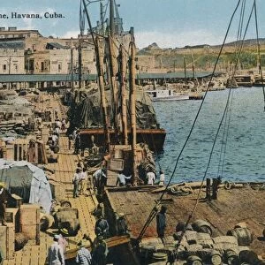 Wharf Scene, Havana, Cuba, 1910