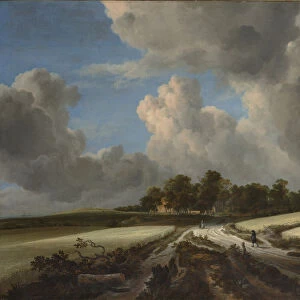 Wheat Fields, ca. 1670. Creator: Jacob van Ruisdael