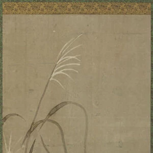 White chrysanthemums and grasses, Edo period, 1615-1868. Creator: Unknown