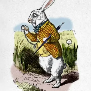 The White Rabbit with a watch, 1889. Artist: John Tenniel The White Rabbit with a watch, 1889. Artist: John Tenniel