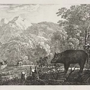 Wild Boar, Wildcat and Lynx, 1807. Creator: Maximilian Josef Wagenbauer (German, 1774-1829)