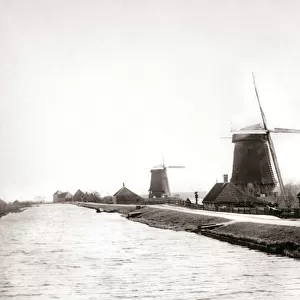 Windmills, Laandam, Netherlands, 1898. Artist: James Batkin