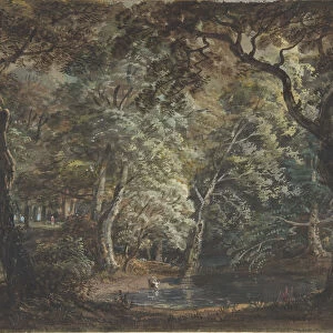 Windsor Great Park, 1790-99. Creator: Paul Sandby