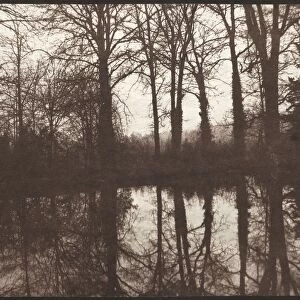 Winter Trees Reflected in a Pond, 1841-42. Creator: William Henry Fox Talbot (British, 1800-1877)