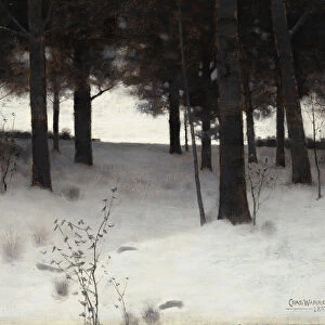 Woods in Winter, 1886. Creator: Charles Warren Eaton