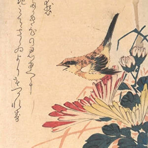 A Wren and Chrysanthemums, ca. 1830. ca. 1830. Creator: Ando Hiroshige