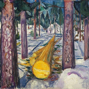 The Yellow Log. Artist: Munch, Edvard (1863-1944)
