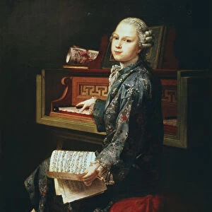 Young Musician at the Harpsicord