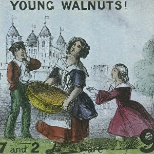 Young Walnuts!, Cries of London, c1840. Artist: TH Jones