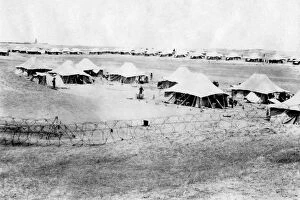 Battalion Gallery: 1 / 5 RWR battalion camp, Samarra, Mesopotamia, 1918
