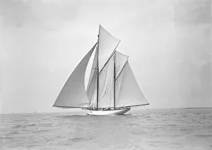 Arthur E Collection: The 118 foot racing yacht Cariad sailing with spinnaker, 1911