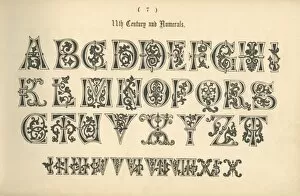 Script Gallery: 11th Century and Numerals, 1862
