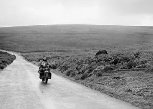Motorcycle Prints: 1208 cc Harley-Davidson of FJ Sturley