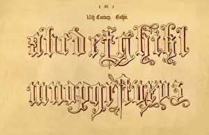 Script Gallery: 16th Century. Gothic. 1862