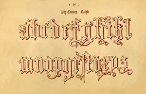 Lower Case Collection: 16th Century. Gothic. 1862