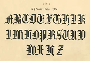 16th Century. Gothic. MS, 1862