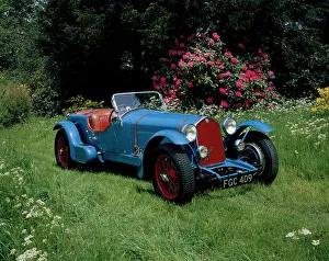 Rhododendron Prints: A 1933 Alfa Romeo 8C 2300