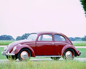 1950 Prints: 1950 Volkswagen Beetle