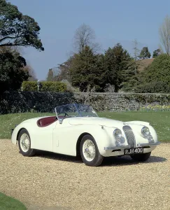 Roadster Prints: 1954 Jaguar