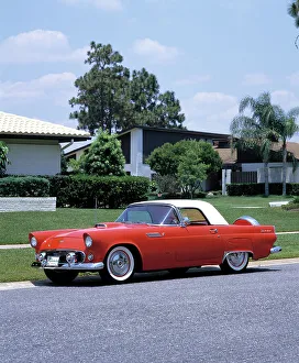 1956 Ford Thunderbird