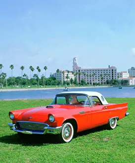 Tire Prints: 1957 Ford Thunderbird