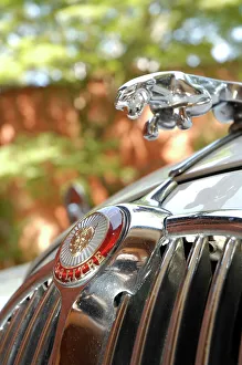 Grille Prints: 1963 Jaguar Mk2 3.5