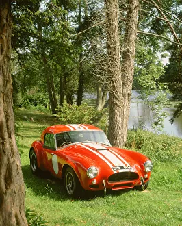 Le Mans Prints: 1964 AC Cobra Le Mans