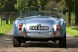 1964 Prints: 1964 AC Cobra MKII 289