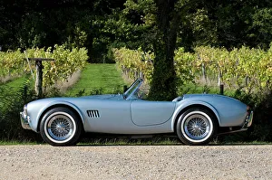 1964 Prints: 1964 AC Cobra MKII 289