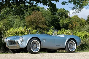 1964 Prints: 1964 AC Cobra MKII 289