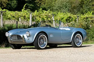 1964 Prints: 1964 AC Cobra MKII 289