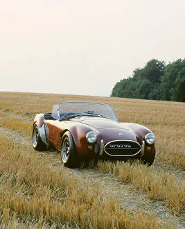 Cornfield Prints: 1966 AC Cobra 289