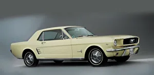1966 Prints: 1966 Ford Mustang 289