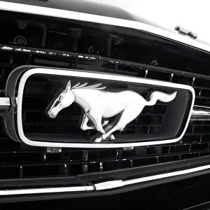 Muscle Car Prints: 1966 Ford Mustang 289 GT