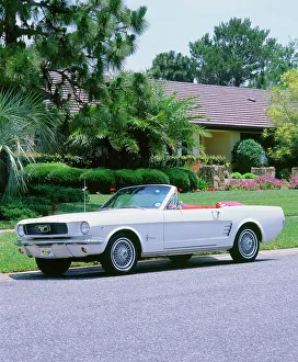 Soft Top Prints: 1966 Ford Mustang Convertible